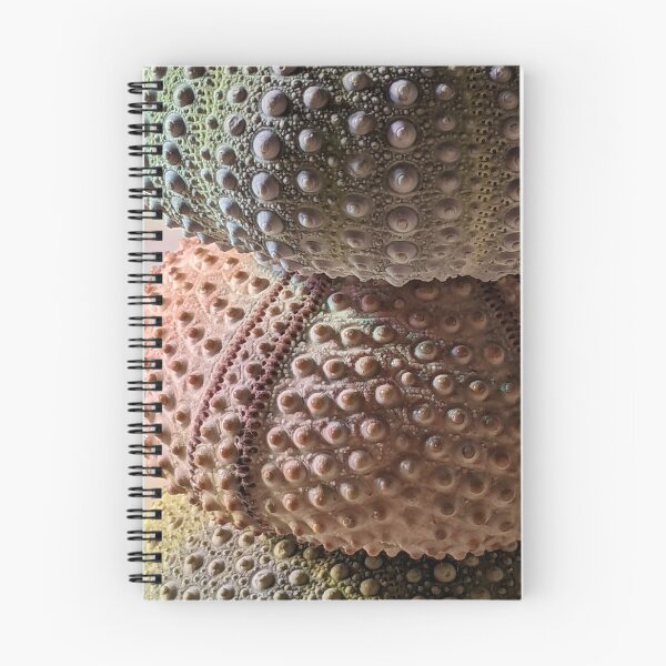 Item preview, Sea Urchin Stack designed and sold by aeolia.