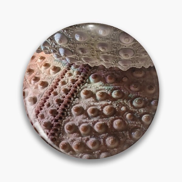 Item preview, Sea Urchin Stack designed and sold by aeolia.