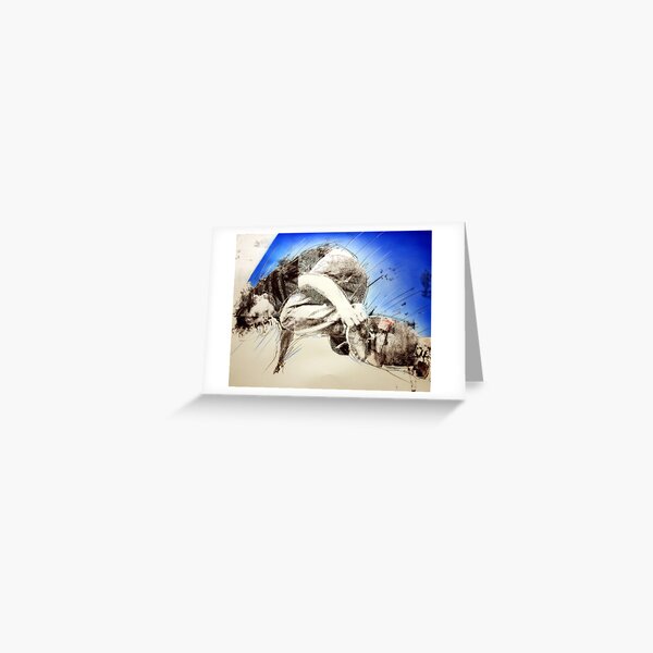 #8 Greeting Card