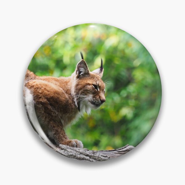 Item preview, Iberian Lynx designed and sold by MendipBlue.