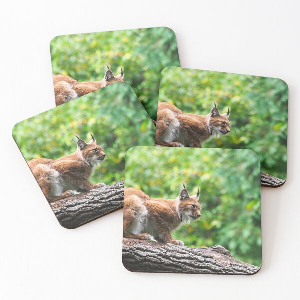 Item preview, Iberian Lynx designed and sold by MendipBlue.