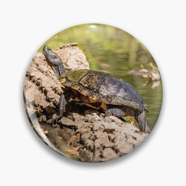 Item preview, Painted turtle sunning on a log designed and sold by KRFNatureGifts.