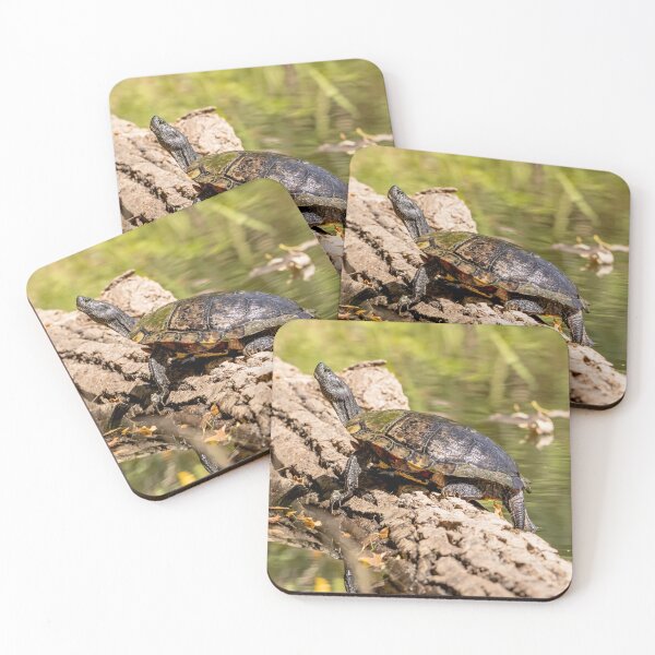 Item preview, Painted turtle sunning on a log designed and sold by KRFNatureGifts.