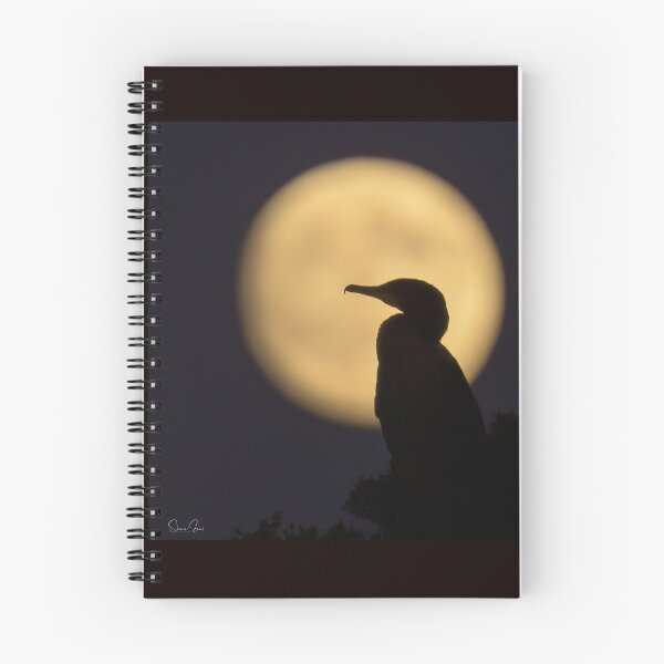 Item preview, Cormorant and the Full Moon  designed and sold by Shannon Emmel .