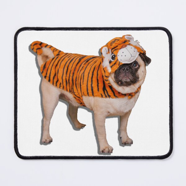 Item preview, Diego the Pug - Tiger Costume - Spooky Time Collection designed and sold by 9VoltGorilla.