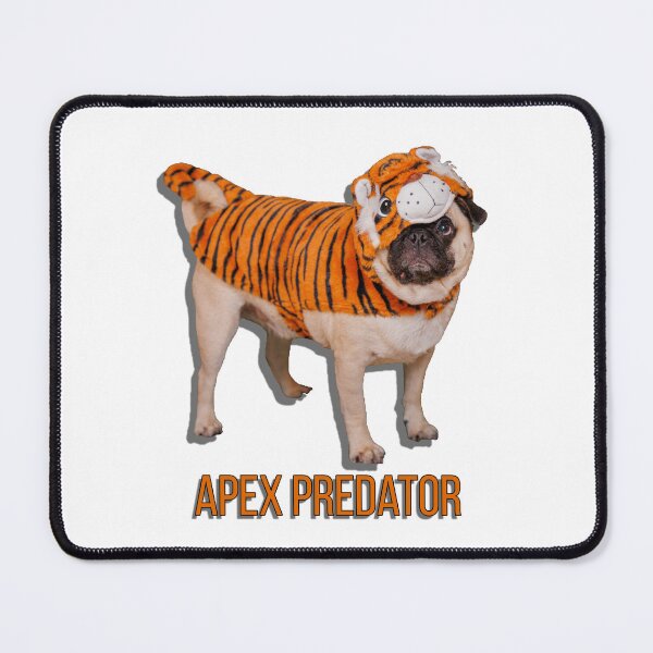 Item preview, Diego the Pug - Tiger Costume - Apex Predator - Spooky Time Collection designed and sold by 9VoltGorilla.