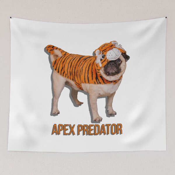 Item preview, Diego the Pug - Tiger Costume - Apex Predator - Spooky Time Collection designed and sold by 9VoltGorilla.