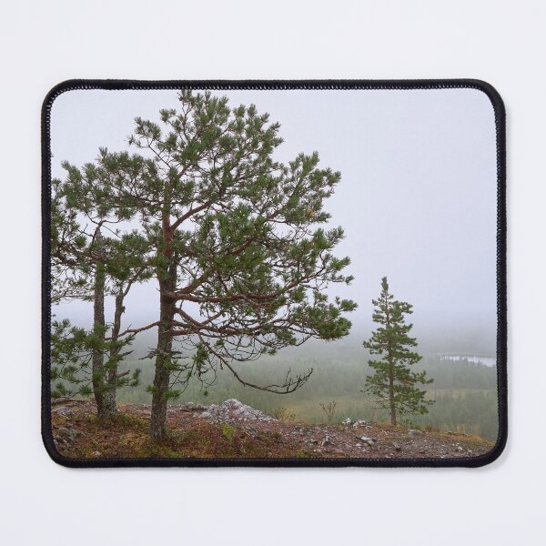 Item preview, Fog. Konttainen 2025 designed and sold by Jouko Lehto Photography.