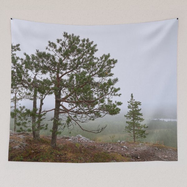 Item preview, Fog. Konttainen 2025 designed and sold by Jouko Lehto Photography.