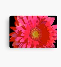 Pink Gerbera Daisy Leinwanddruck