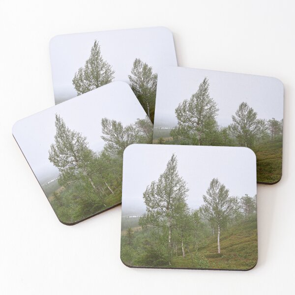 Item preview, Birches on the side. Konttainen 2025 designed and sold by Jouko Lehto Photography.