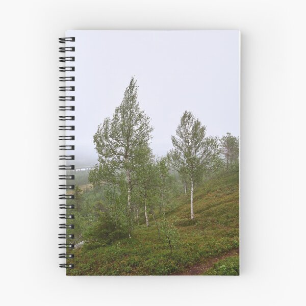 Item preview, Birches on the side. Konttainen 2025 designed and sold by Jouko Lehto Photography.