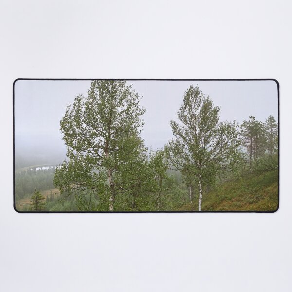 Item preview, Birches on the side. Konttainen 2025 designed and sold by Jouko Lehto Photography.