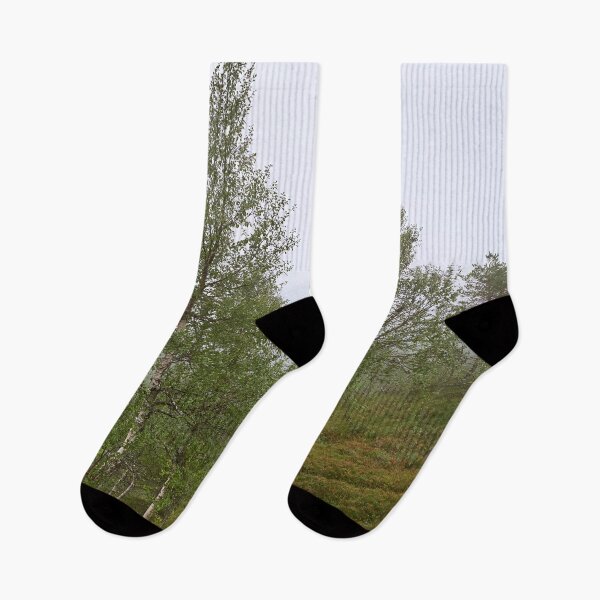 Item preview, Birches on the side. Konttainen 2025 designed and sold by Jouko Lehto Photography.