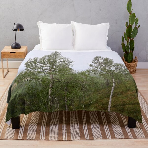 Item preview, Birches on the side. Konttainen 2025 designed and sold by Jouko Lehto Photography.