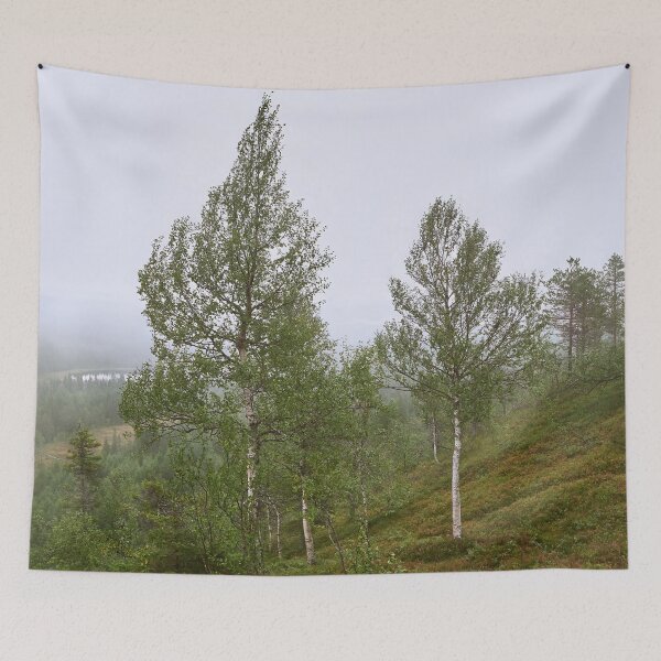 Item preview, Birches on the side. Konttainen 2025 designed and sold by Jouko Lehto Photography.