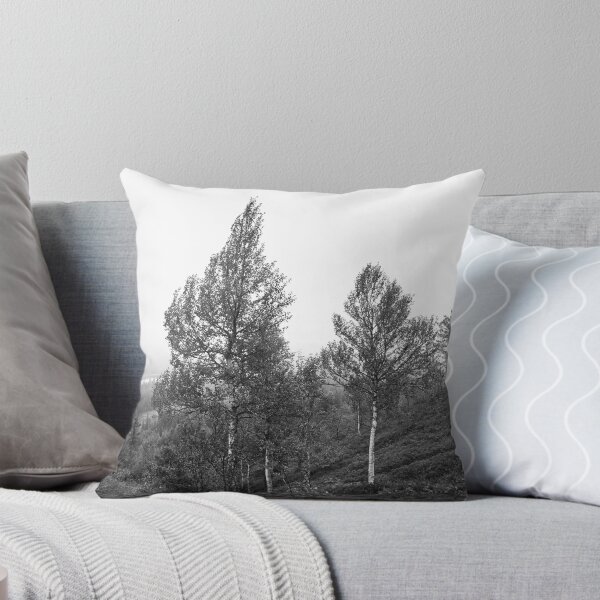 Item preview, Birches on the side. Konttainen 2025 bw designed and sold by Jouko Lehto Photography.