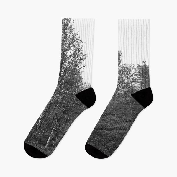 Item preview, Birches on the side. Konttainen 2025 bw designed and sold by Jouko Lehto Photography.