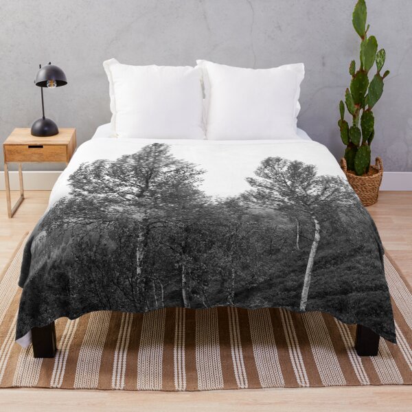 Item preview, Birches on the side. Konttainen 2025 bw designed and sold by Jouko Lehto Photography.