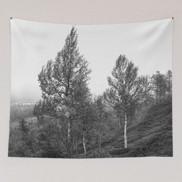 Item preview, Birches on the side. Konttainen 2025 bw designed and sold by Jouko Lehto Photography.