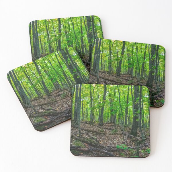 Item preview, Deep in a Michigan Green Early Fall Forest designed and sold by KillNFuel.