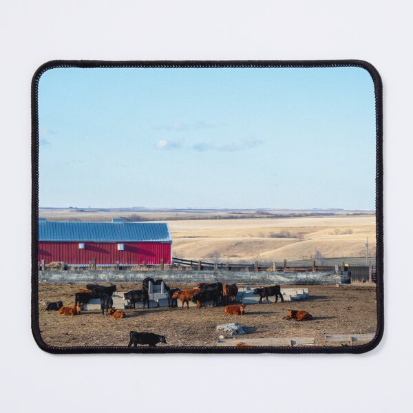 Item preview, Cows on a Farm in North Dakota designed and sold by KillNFuel.
