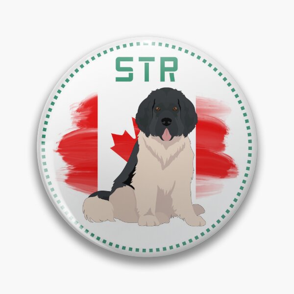 Item preview, Dogs of the Formula 1 World - Lance Stroll, Canada designed and sold by CRGreatStuff.