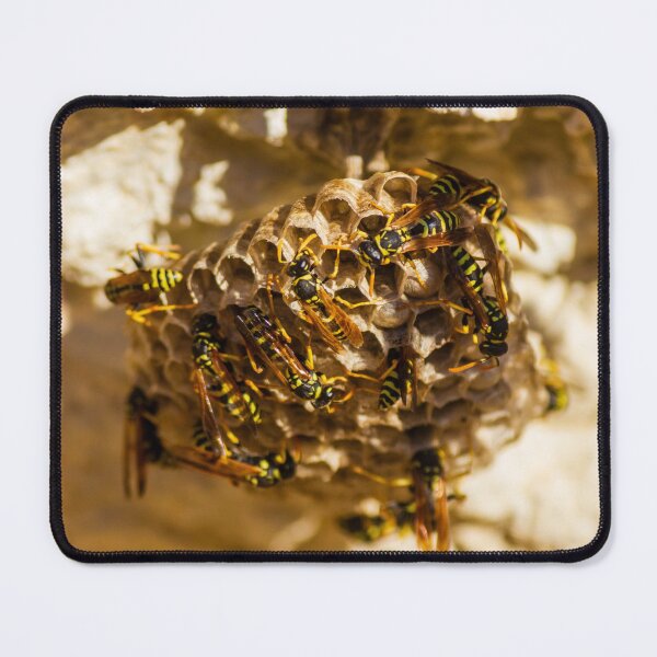 Item preview, Wasp Nest With Busy Swarm Of Yellow And Black Wasps On Honeycomb Structure designed and sold by Nmallia.