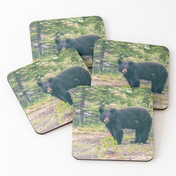 Item preview, Black Bear in Forest designed and sold by jvnimages.