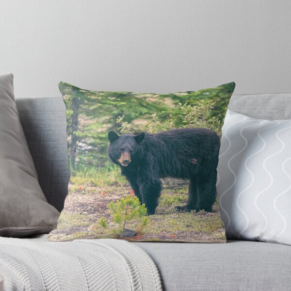 Item preview, Black Bear in Forest designed and sold by jvnimages.