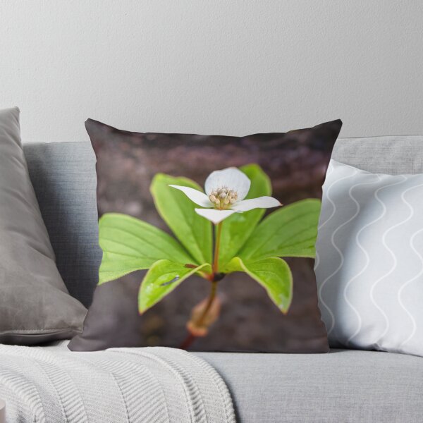 Item preview, Bunchberry Flower designed and sold by jvnimages.