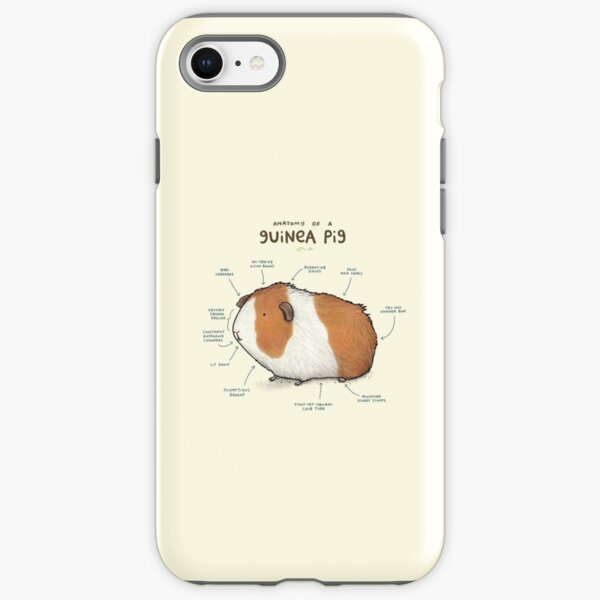 Guinea Pig iPhone cases & covers | Redbubble