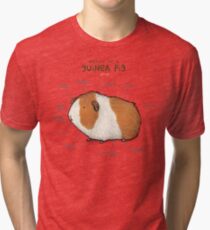 Anatomy of a Guinea Pig Tri-blend T-Shirt