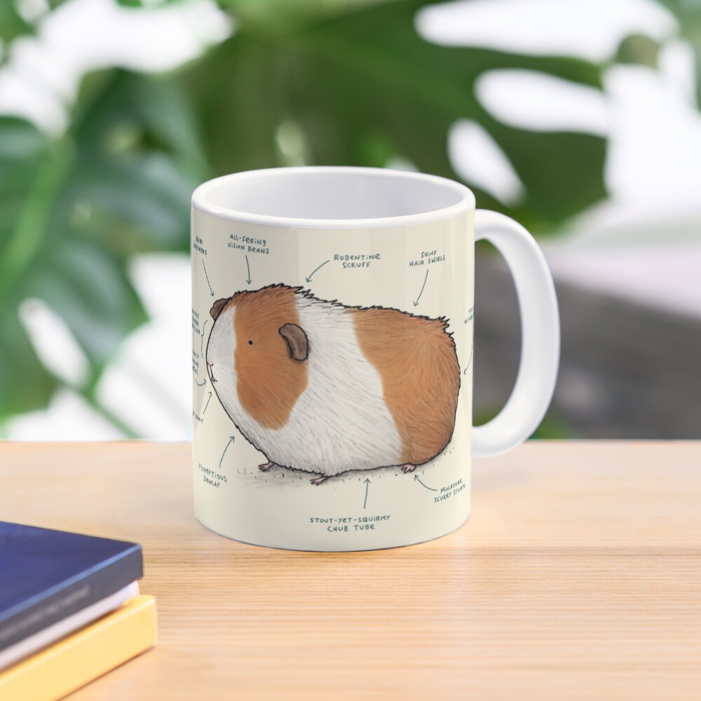 Anatomy of a Guinea Pig Mug