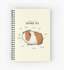 Anatomy of a Guinea Pig Spiral Notebook
