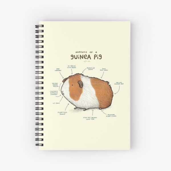 Item preview, Anatomy of a Guinea Pig designed and sold by Sophie Corrigan.