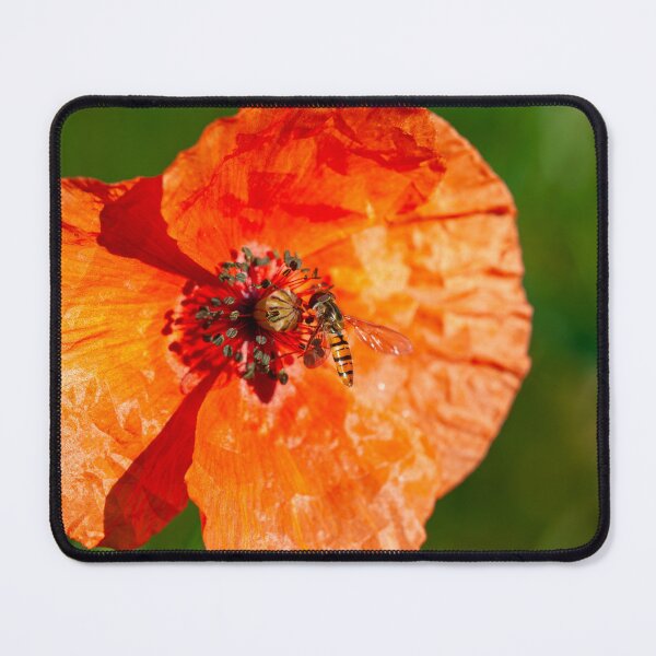 Item preview, Hoverfly on Poppy – Bright Macro Nature Photography designed and sold by 3 Hours of Silence.