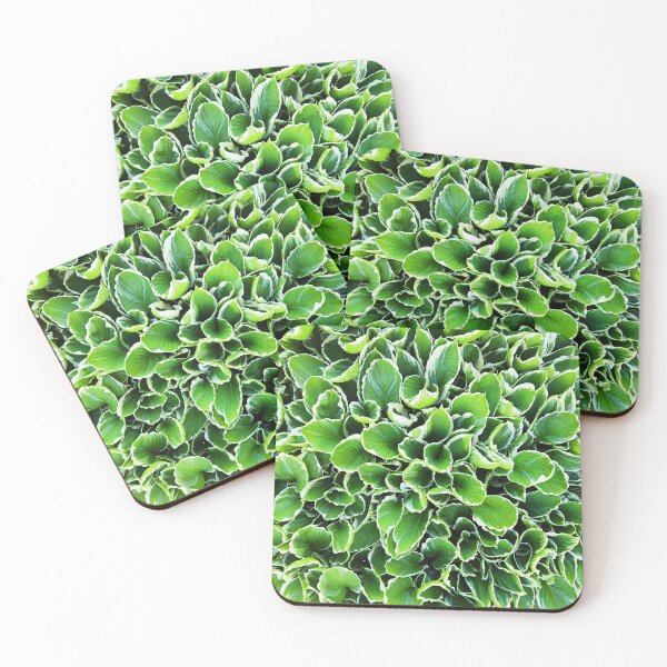 Item preview, Hosta Plantaginea - Green leaves with white edges designed and sold by Art-Arcade6.
