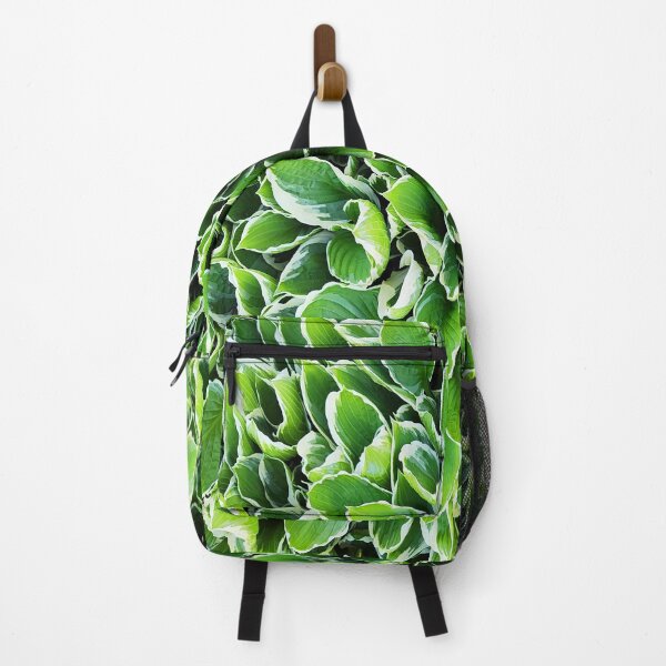 Item preview, Hosta Plantaginea - Green leaves with white edges designed and sold by Art-Arcade6.