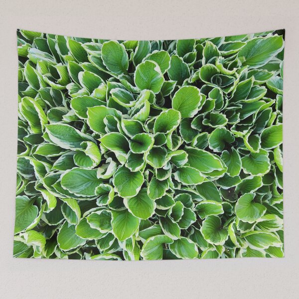 Item preview, Hosta Plantaginea - Green leaves with white edges designed and sold by Art-Arcade6.