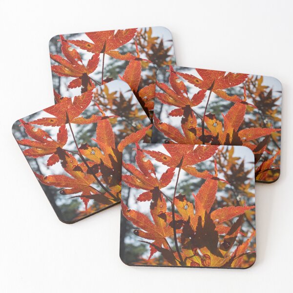 Item preview, Sunlit Autumn Leaves designed and sold by Tim Dusenberry.