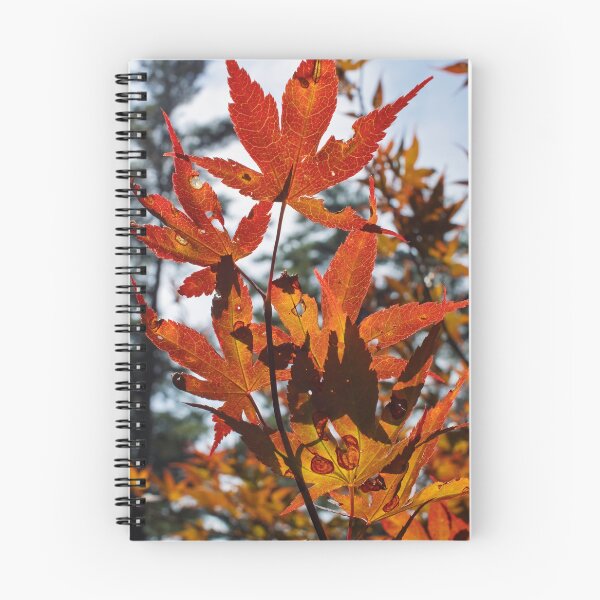 Item preview, Sunlit Autumn Leaves designed and sold by Tim Dusenberry.