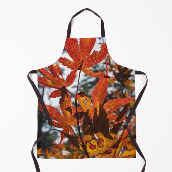 Item preview, Sunlit Autumn Leaves designed and sold by Tim Dusenberry.