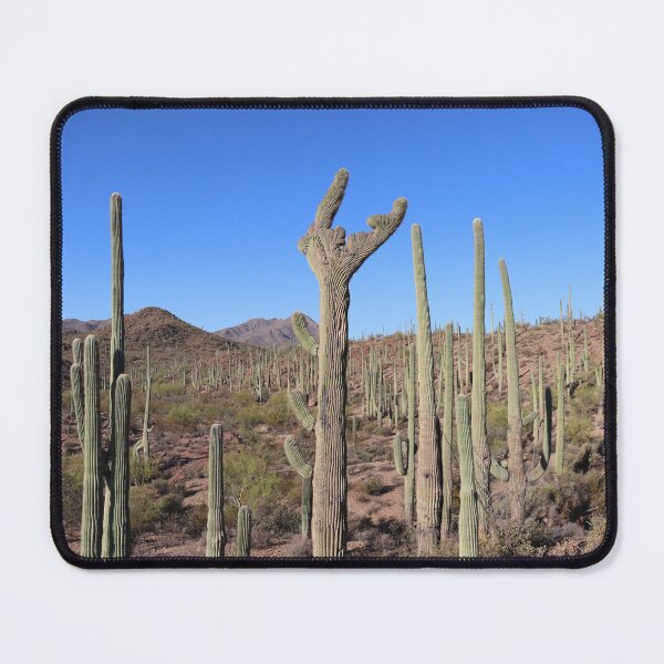Item preview, Incredible Desert Landscape designed and sold by simonjayphotos.