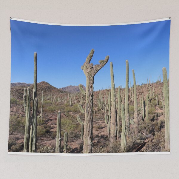 Item preview, Incredible Desert Landscape designed and sold by simonjayphotos.