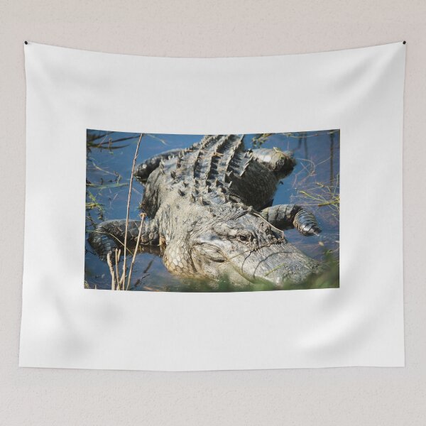 Item preview, Alligator Resting in Swamp designed and sold by Cynthia48.