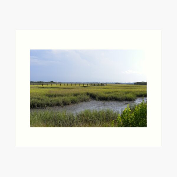 Item preview, Matanzas River tidal marsh , St. Augustine ,Florida designed and sold by jim1911.