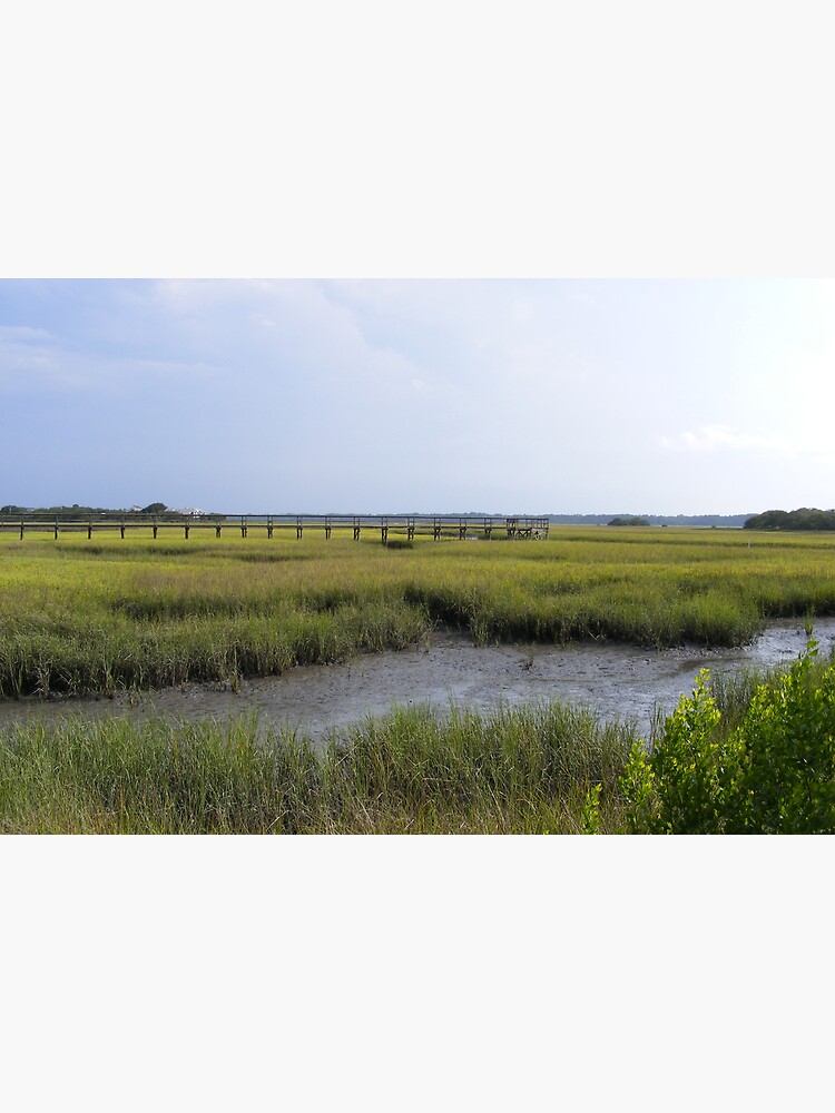 Thumbnail 3 of 3, Canvas Print, Matanzas River tidal marsh , St. Augustine ,Florida designed and sold by jim1911.