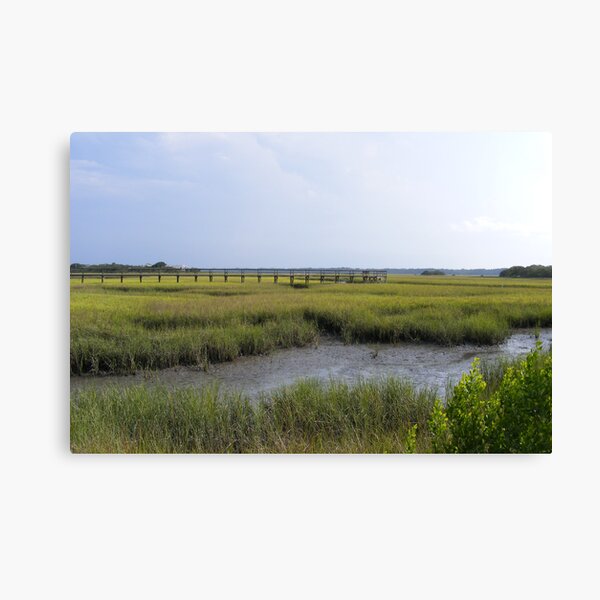 Item preview, Matanzas River tidal marsh , St. Augustine ,Florida designed and sold by jim1911.