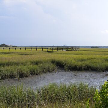 Artwork thumbnail, Matanzas River tidal marsh , St. Augustine ,Florida by jim1911